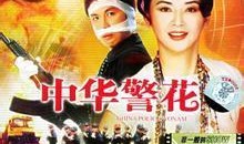 中华警花 电影在线观看,守护正义的美丽身影